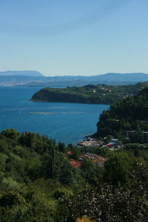 Larocca Studio Apartments Πιράν Εξωτερικό φωτογραφία